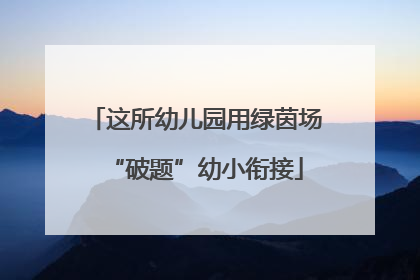 这所幼儿园用绿茵场“破题”幼小衔接