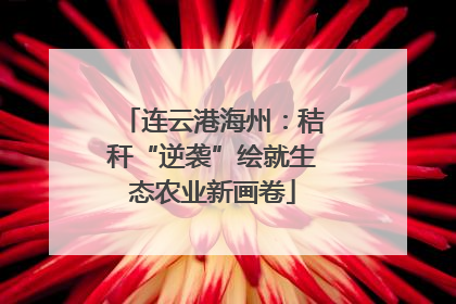 连云港海州：秸秆“逆袭”绘就生态农业新画卷