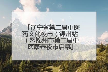 辽宁省第二届中医药文化夜市（锦州站）暨锦州市第二届中医康养夜市启幕