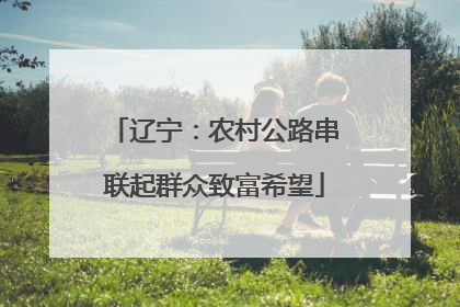 辽宁：农村公路串联起群众致富希望