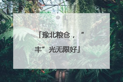 豫北粮仓，“丰”光无限好