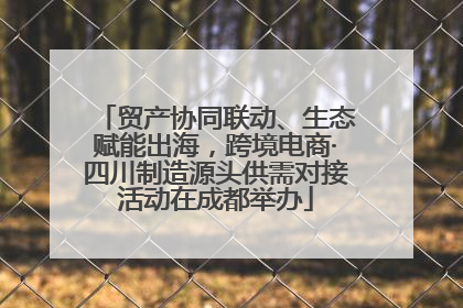 贸产协同联动、生态赋能出海，跨境电商·四川制造源头供需对接活动在成都举办