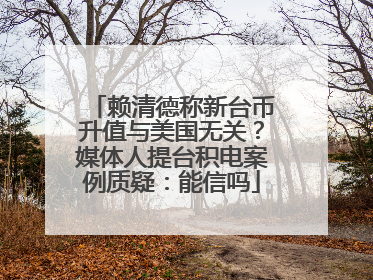 赖清德称新台币升值与美国无关？媒体人提台积电案例质疑：能信吗