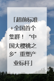 超前标准+全国首个集群！“中国大樱桃之乡”重塑产业标杆