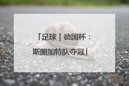 足球｜德国杯：斯图加特队夺冠