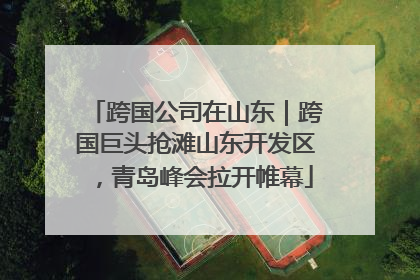 跨国公司在山东｜跨国巨头抢滩山东开发区，青岛峰会拉开帷幕