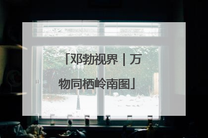邓勃视界｜万物同栖岭南图