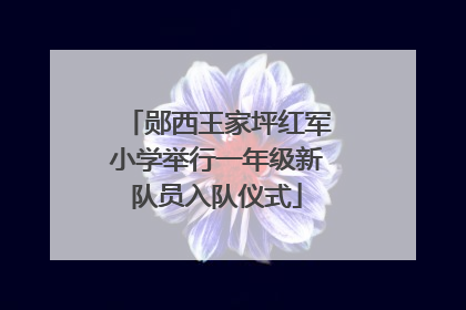 郧西王家坪红军小学举行一年级新队员入队仪式