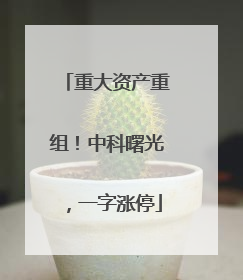 重大资产重组！中科曙光，一字涨停