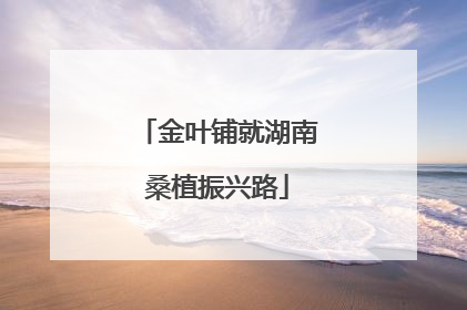 金叶铺就湖南桑植振兴路