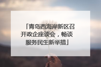 青岛西海岸新区召开政企座谈会，畅谈服务民生新举措