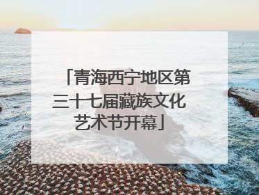 青海西宁地区第三十七届藏族文化艺术节开幕