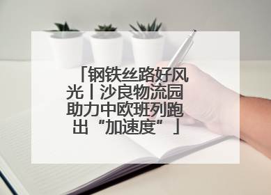 钢铁丝路好风光丨沙良物流园助力中欧班列跑出“加速度”