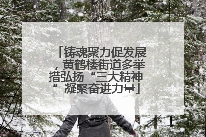铸魂聚力促发展，黄鹤楼街道多举措弘扬“三大精神”凝聚奋进力量