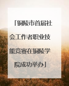 铜陵市首届社会工作者职业技能竞赛在铜陵学院成功举办