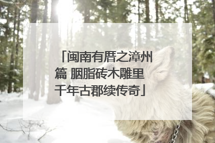 闽南有厝之漳州篇 胭脂砖木雕里千年古郡续传奇