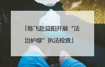 陈飞赴益阳开展“法治护绿”执法检查
