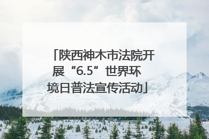 陕西神木市法院开展“6.5”世界环境日普法宣传活动