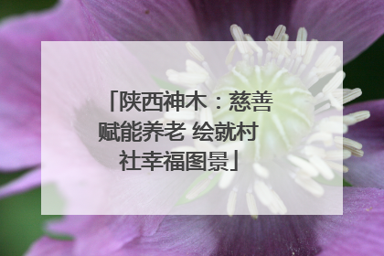 陕西神木：慈善赋能养老 绘就村社幸福图景
