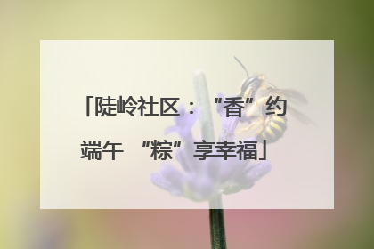 陡岭社区：“香”约端午 “粽”享幸福