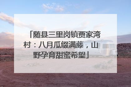 随县三里岗镇贾家湾村：八月瓜缀满藤，山野孕育甜蜜希望