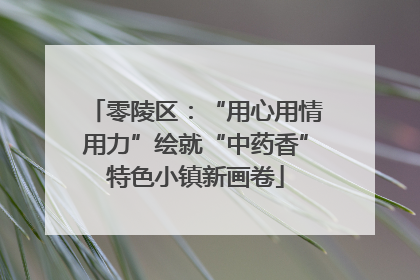 零陵区：“用心用情用力”绘就“中药香”特色小镇新画卷