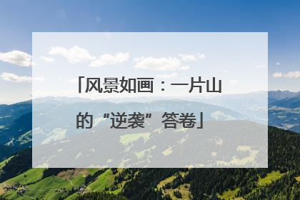 风景如画：一片山的“逆袭”答卷