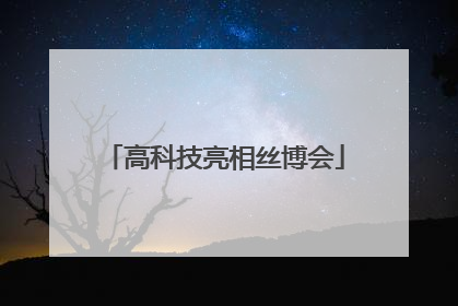 高科技亮相丝博会