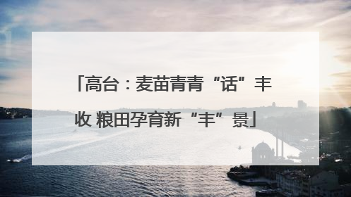 高台：麦苗青青“话”丰收 粮田孕育新“丰”景