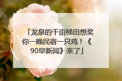 龙泉的千亩梯田想奖你一晚民宿一只鸡！《90早新闻》来了