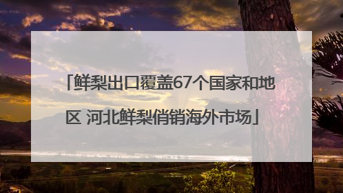 鲜梨出口覆盖67个国家和地区 河北鲜梨俏销海外市场