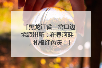 黑龙江省三岔口边境派出所：在界河畔，扎根红色沃土