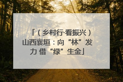 （乡村行·看振兴）山西襄垣：向“林”发力 借“绿”生金