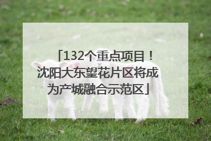 132个重点项目！沈阳大东望花片区将成为产城融合示范区