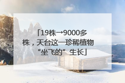 19株→9000多株，天台这一珍稀植物“坐飞的”生长
