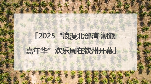 2025“浪漫北部湾 潮派嘉年华”欢乐周在钦州开幕