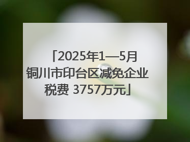 2025年1—5月铜川市印台区减免企业税费 3757万元