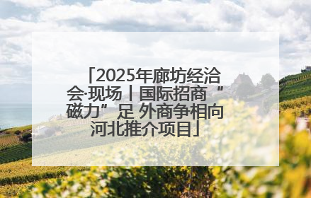 2025年廊坊经洽会·现场丨国际招商“磁力”足 外商争相向河北推介项目