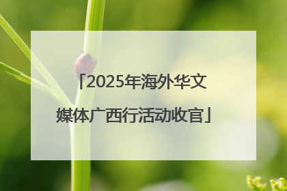 2025年海外华文媒体广西行活动收官