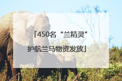 450名“兰精灵”护航兰马物资发放