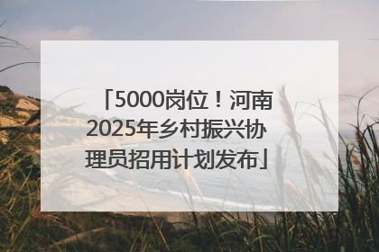 5000岗位！河南2025年乡村振兴协理员招用计划发布
