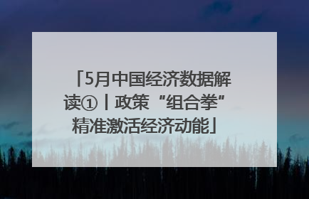 5月中国经济数据解读①丨政策“组合拳”精准激活经济动能