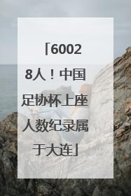 60028人！中国足协杯上座人数纪录属于大连