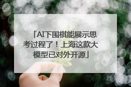 AI下围棋能展示思考过程了！上海这款大模型已对外开源