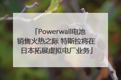 Powerwall电池销售火热之际 特斯拉将在日本拓展虚拟电厂业务