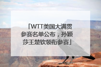 WTT美国大满贯参赛名单公布，孙颖莎王楚钦领衔参赛